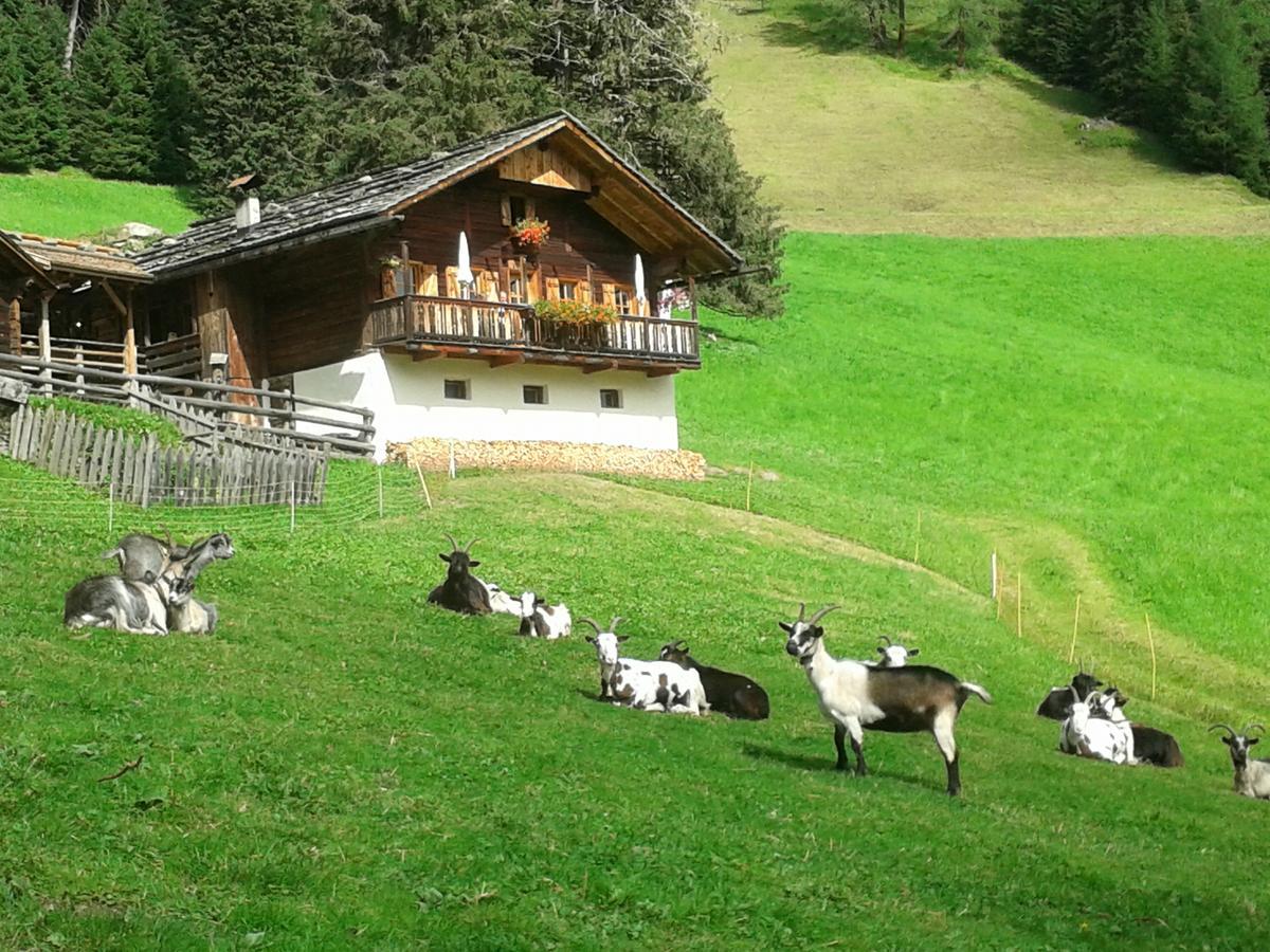 Hotel Poernbacher Olang Екстериор снимка
